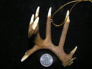 Whitetail Deer Shed Antler Ornament Horns Antlers