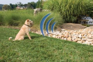 Outdoor Wireless Dog Fence Lanscape Barrier w Collar