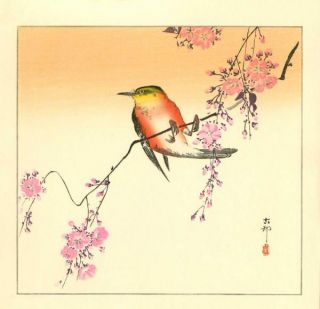  Japanese Woodblock Print Songbird on A Flowering Branch 1920s