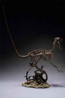  Skeleton Model Griffon Enterprises Dinosaur Master Fossil New
