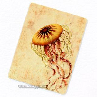 Discomedusae Jellyfish #5 Deco Magnet; Vintage Illustration Sea Ocean