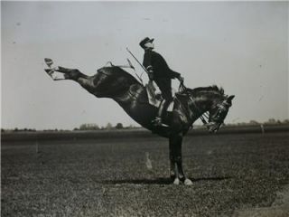 Vintage French Horse Dressage School Saumur High Step