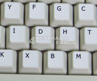 the dvorak keyboard layout became easier to access in the computer age