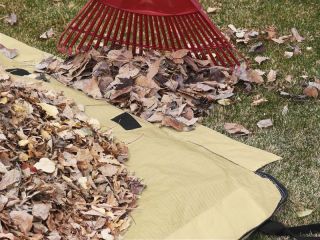 Bigfoot Yard Bag Tarp for Leaves Garden Waste Leaf Disaster Cleanup 3