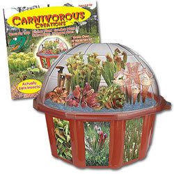 Carnivorous Creations Dome Grow Your Own Venus Fly Trap