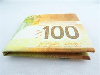 100CAD Money Pattern Purse Unisex Cool Dupont Paper Money Style Wallet