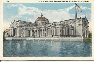 Antique Postcard FIELD MUSEUM NATURAL HISTORY JACKSON PARK CHICAGO
