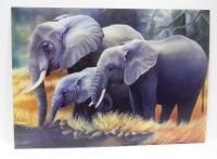 elephants 3 dimensional unique picture 9x13 unframed