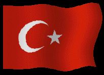 Learn to Speak Turkish Basic Turkish Language Course Written Audio PC