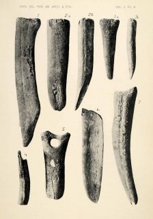 1910 Print Emeryville Shellmound San Francisco Bone Antler Archaeology
