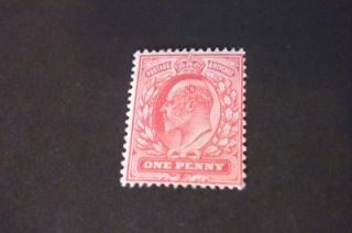 Edward VII Pale Rose Carmine Unmounted One Penny Stamp