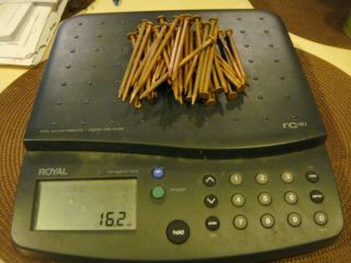One Pound of Copper Nails 12 Penny 3 1 4