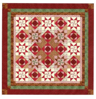 Easy Quilt Kit Southern Exposure Pinks Brown Pre cut Fabrics Ready To
