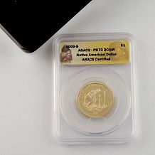 Coin Collector 2005 2009 Satin Finish Sacagawea/Native American P  and