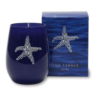  Fragrance Candles Primal Elements 13 oz. Blue Icon Candle   Starfish