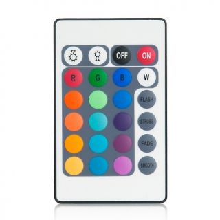 Color Changing Medium Light Sphere Remote Control