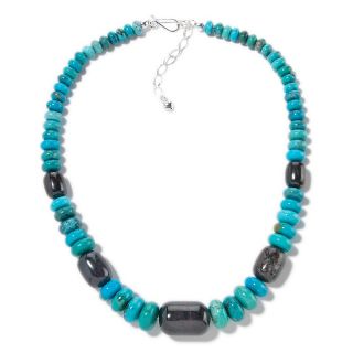  Finds by Jay King Jay King Turquoise Andradite Garnet 18 3/4 Necklace