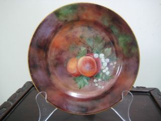 Beautiful hand painted fruits plate–Apples & Grapes by B. Aimee