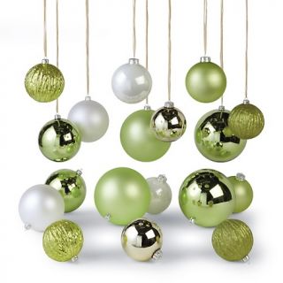 Frontgate Winter Garden 18 piece Ornament Collection