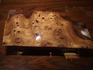 Out of This World Elm Burl Blank A X2
