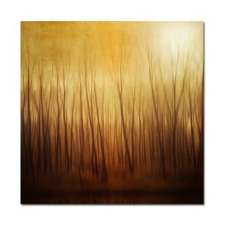 Philippe Sainte Laudy Large Ghost Forest Print