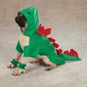 Dog Dogosaurus Dinosaur Halloween Costume Canine Pet Clothes XS s M L
