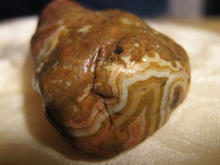 Perfect Fairburn Agate Specimen for Your Collection