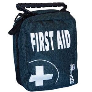 EMPTY FIRST AID KIT BAG WITH COMPARTMENTS  MEDIUM   BLUE