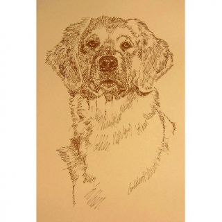 188 231 kline dog art golden retriever hand signed art lithograph