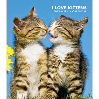 Kittens 2013 Hardcover Engagement Calendar