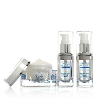 208 913 ice elements ice elements hydra lastin firm and glow skin care