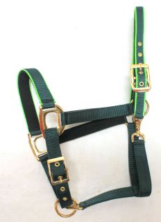   Padded Horse Halter with Piping and Throat Snap Horse Tack Equine