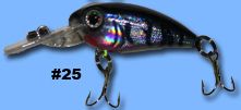   crankbait 25 bass tackle fishing lures supplies gear trout crappie