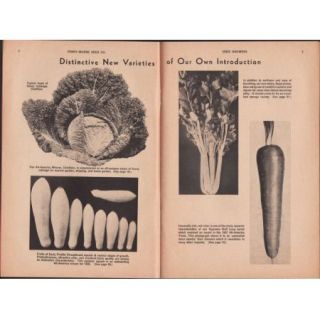 1930s Ferry Morse Seed Co Catalog   Vegetable List   Vintage