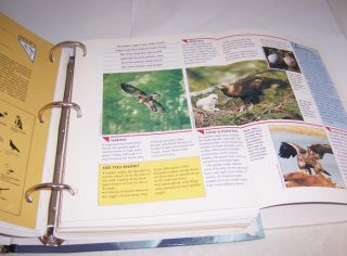 Wildlife Fact File 1 Full Binder Animal Infomation  approx 180 Cards