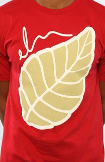 ELM The Leaf Tee in Cardinal Red Concrete