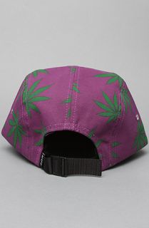 HUF The Plant Life Volley Cap in Purple