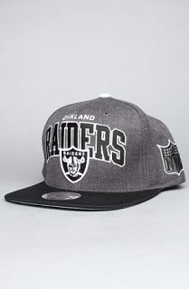 Mitchell & Ness The Oakland Raiders Arch Logo G2 Snapback Hat in Gray