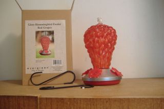 NEW GLASS HUMMINGBIRD FEEDER RED GRAPES WITH BOX EVERGREEN STYLE