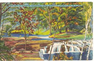 Fernwood Falls Creek Palenville NY Vintage Postcard