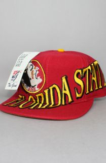 Vintage Deadstock Florida State Seminoles Snapback HatMonster Logo