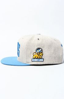 Mitchell & Ness The Detroit Lions Basic Arch 2T Snapback  Karmaloop