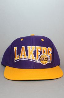 123SNAPBACKS Los Angeles Lakers Snapback HatWavePurpYel  Karmaloop