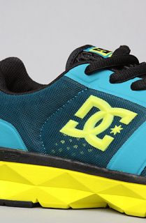 DC The Unilite Trainer Shoe in Blue and Yellow
