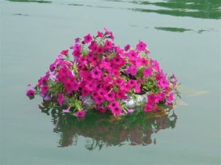 25 Floating Faux Rock 5 Pot Planter; Garden/Flower Bed/Pond