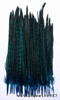 natural Sky Blue color pheasant tail feathers,20 25cm JJW 10pcs