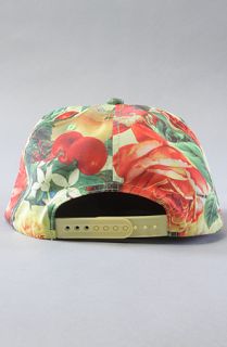 Joyrich The Citrus Rush Hat in Yellow Multi