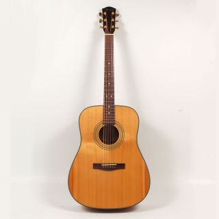 up for auction is this fender dg 22s acoustic guitar in used condition