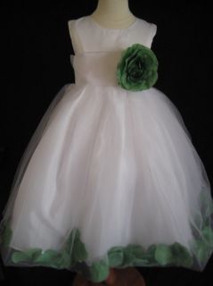 Clover Green Rose Petal Flower Girl Dress 6 9 12 18 MO 2T 3T 4T 5 6 7