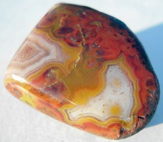 Lake Superior Agate with Fairburn SD Pattern Colors